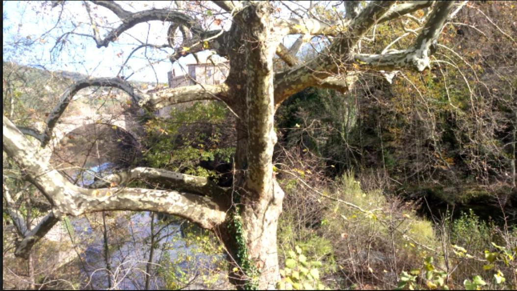 Le Moulin Aux Chandelles 2, Vacances & W-E, Vues Riviere, Montagne & Ville, Tout Confort Deconnecte, Eclairage Bougies, Connexions A 200M Au Centre Le Vigan Gite Les Amoureux De L'Arre, Randonnee Chemin De Saint-Guilhem-Le-Desert, Lire Profil Avant R Exterior foto